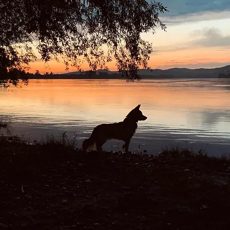 Casa vacanze Cube - Kiadó Kilátással A Dunakanyarra *